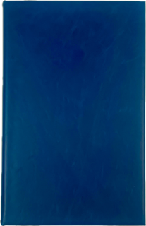 Sh*t I Have To Write Down Premium Leatherette Journal